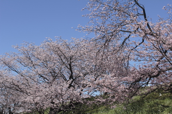 bIMG_3643.JPG